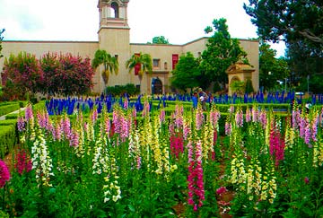 jardines de Balboa Park