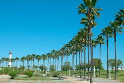 ideas para excursiones desde San Diego