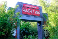 Panda Trek, que hacer en el Zoo
